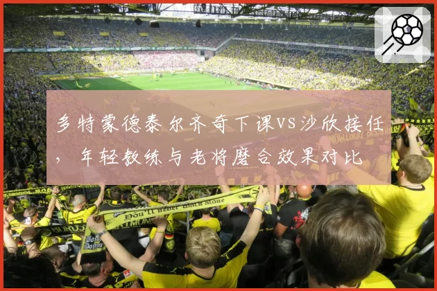 多特蒙德泰尔齐奇下课vs沙欣接任，年轻教练与老将磨合效果对比