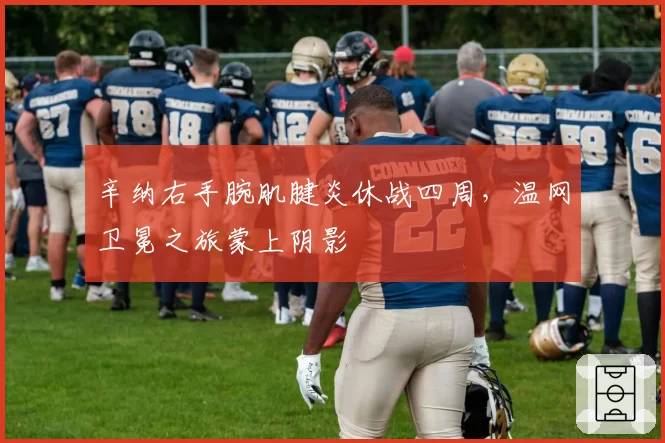 辛纳右手腕肌腱炎休战四周，温网卫冕之旅蒙上阴影