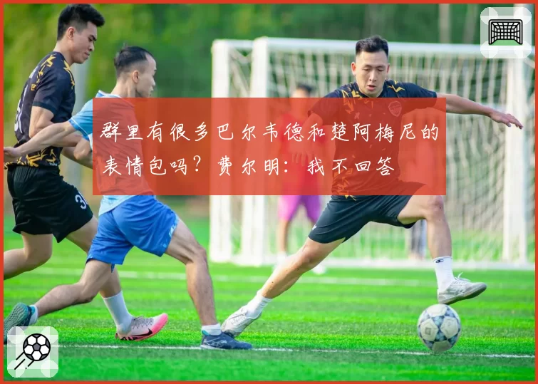 群里有很多巴尔韦德和楚阿梅尼的表情包吗?费尔明:我不回答